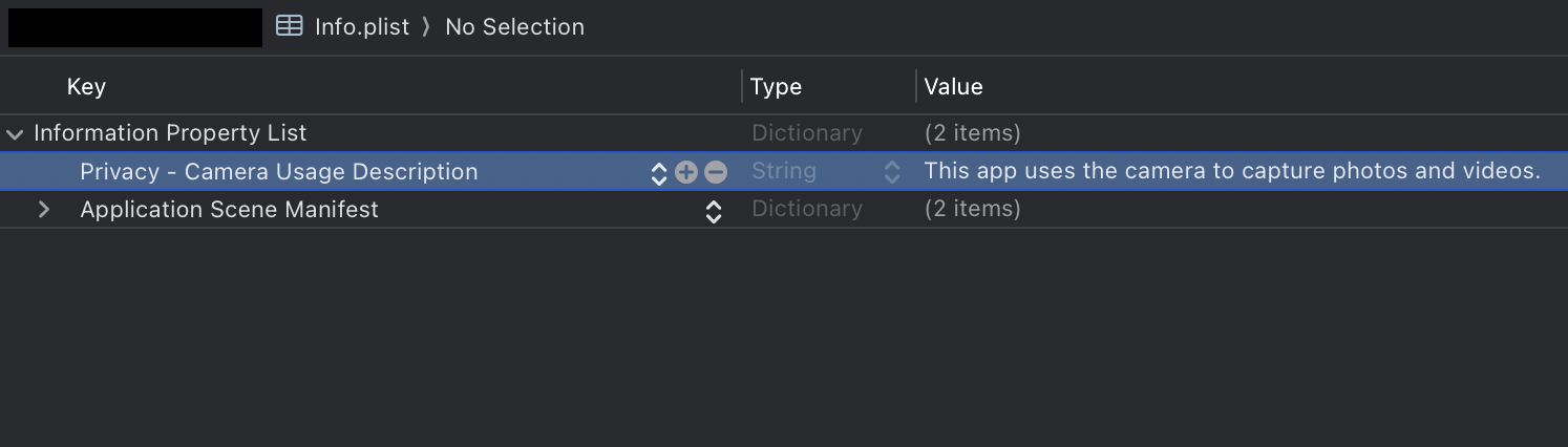 Info.plist file settings