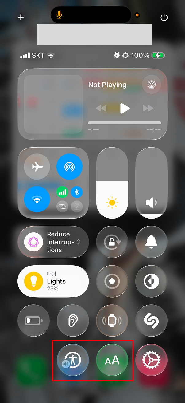 iPhone Control Center showing VoiceOver and Text Size controls