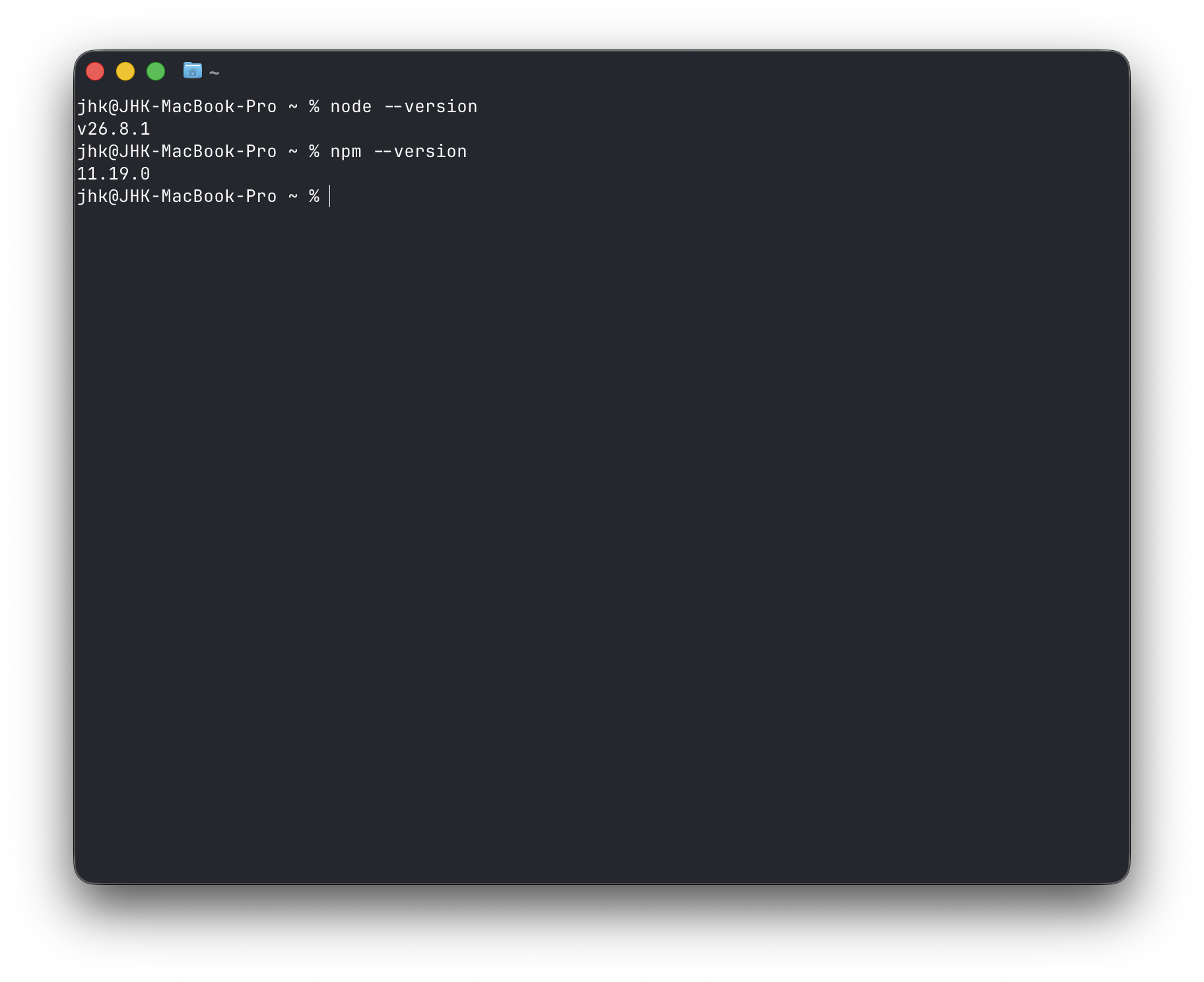Terminal showing the installed Node.js and npm version numbers